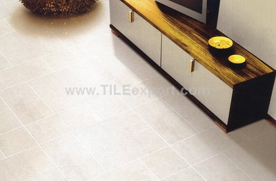 Floor_Tile--Porcelain_Tile,600X600mm[SS],66009_view